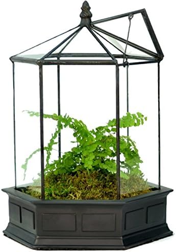 h potter six-sided glass terrarium wardian case succulent, main product view