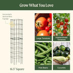 vego garden tomato cage 16.5" square heavy-duty for, close-up detail