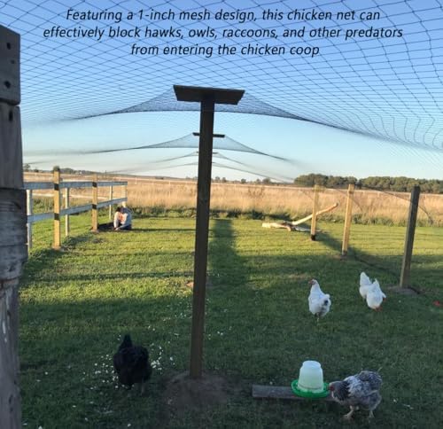 junflying 50x50 ft chicken netting for hawks &, package contents