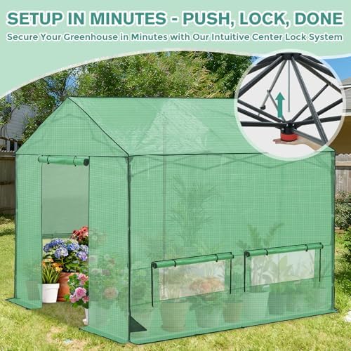 coos bay 6x6 pop up greenhouse outdoor, walk shown in use