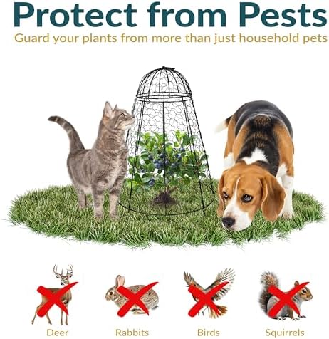 sunnydaze chicken wire cloche covers for plant protection, side view