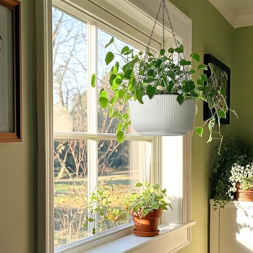 t4u hanging planters for indoor outdoor, 12 inch on a desk or shelf