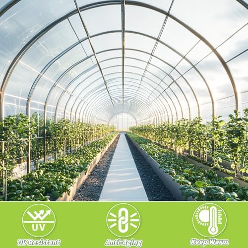 6 mil greenhouse plastic sheeting, 10 x 50, side view