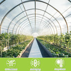 6 mil greenhouse plastic sheeting, 10 x 50, side view