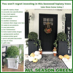 all season green 2't 19''d topiaries trees artificial on a desk or shelf