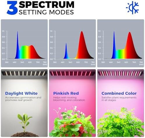 barrina cx60 indoor greenhouse with grow light 40w on a desk or shelf