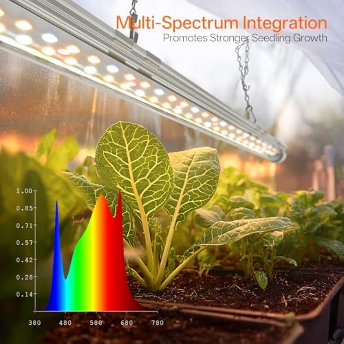 bstrip mini indoor greenhouse with grow light, tabletop showing dimensions