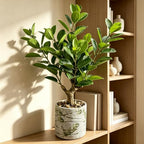 20.5 inch artificial ficus tree in cement pot, front angle view