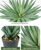 velener artificial agave plant in black pot with, close-up detail