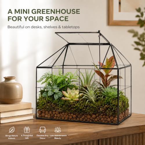 large glass terrarium house planter – succulent plant, close-up detail