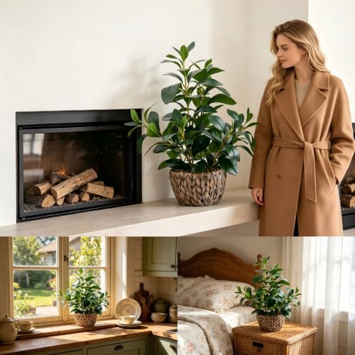 alphaacc fake indoor ficus plant in rattan basket, side view