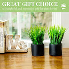 mygift tabletop artificial grass plants decorative faux greenery, close-up detail
