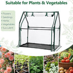 mini greenhouse with waterproof pad, 36"×18"×33" tabletop small on a desk or shelf