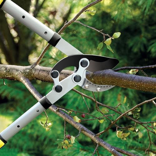 tree branch cutter garden shears set, loppers for on a desk or shelf
