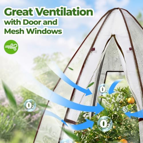 portable greenhouse for outsides, ohuhu heavy duty green showing dimensions