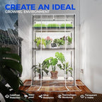 barrina cx5z indoor greenhouse with grow light, 180w showing dimensions