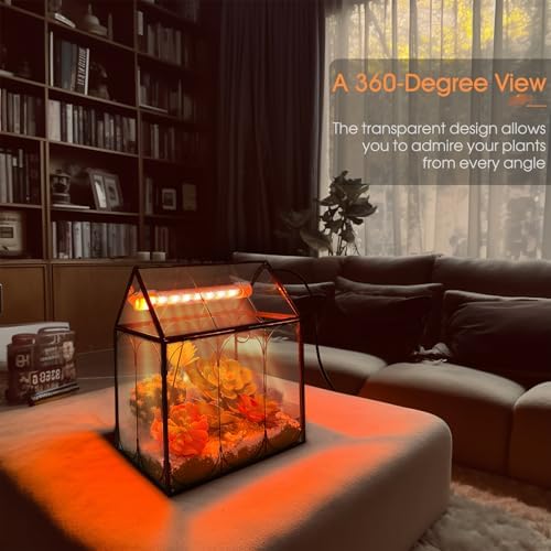 rifny plant terrarium with grow light, glass terrarium, close-up detail