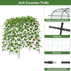 agtek 87" h×65" w metal garden arch trellis, side view