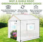 eagle peak 8x8 pop up walk in greenhouse shown in use