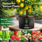 vivosun 10-pack 25 gallon plant grow bags fabric on a desk or shelf