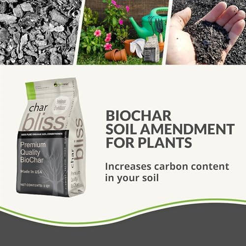 char bliss (24 qts) - organic biochar soil shown in use