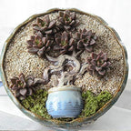 TOYPOPOR Coarse Silica Sand 2.2lb for Bonsai Cacti Succulent and Carnivorous Plant Mix