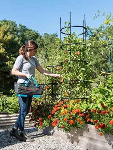 gardener's supply company titan extra tall tomato cages, main product view