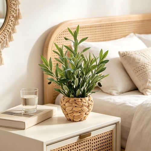 alphaacc fake potted plant small olive water hyacinth, front angle view
