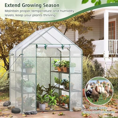 giantex walk-in greenhouse, gardening plant tent with roll-up showing dimensions