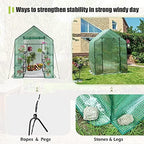 walk-in greenhouse - 3 tiers 8 shelves plant, side view