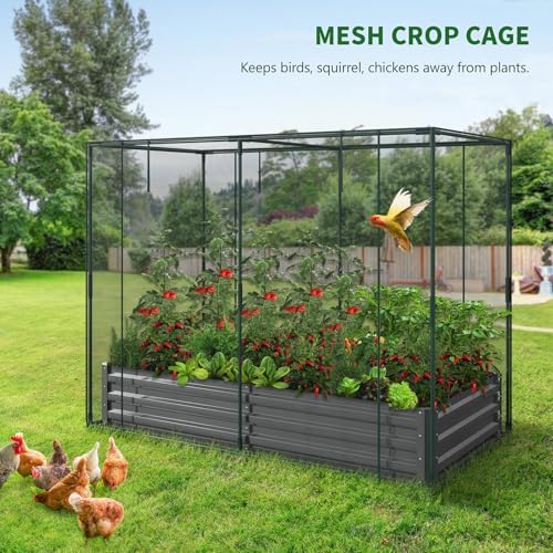 galvanized raised garden bed with crop cage plant shown in use