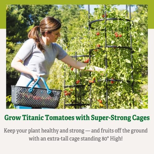 gardener's supply company titan extra tall tomato cages showing dimensions