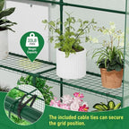 specilite 56×85×77inch walk-in greenhouse for outdoors garden plant showing dimensions