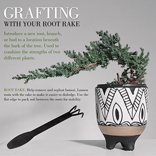 bamboomn 10pc bonsai set, shears, concave cutter, knob on a desk or shelf
