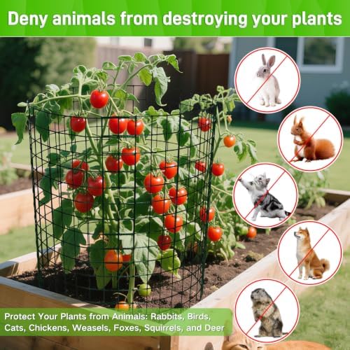 13.8x12 inch plant protector, wire garden cages with, side view