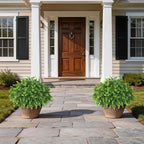 2set lifelike touch fake eucalyptus topiary ball trees, front angle view