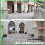 all season green 2't 19''d topiaries trees artificial, front angle view