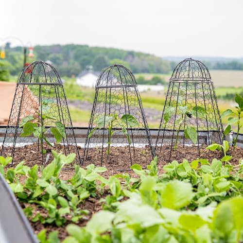 sunnydaze chicken wire cloche covers for plant protection on a desk or shelf
