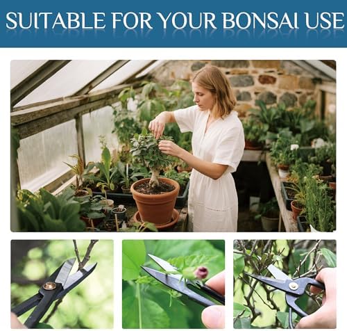 bonsai tree kit, bonsai tool set,carbon steel scissors, close-up detail