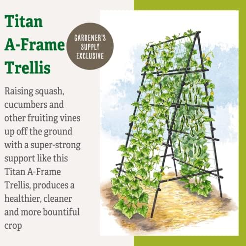 gardener's supply company titan a-frame trellis | strong, side view