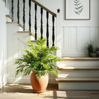artificial fern plants in pots artificial boston ferns, front angle view