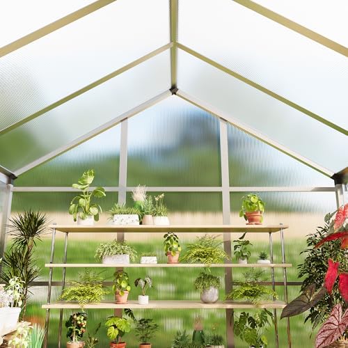 idealhouse 8×10 ft greenhouse, large walk in greenhouses, view 9