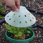 outdoor germination and grow kit with greenhouse domes, front angle view