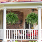 dkaltm 45" artificial boston fern (set of 2), package contents