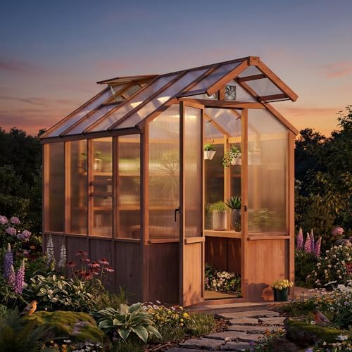 modern shade everbloom 6.5'x8' wooden greenhouse, 8' extra-tall shown in use