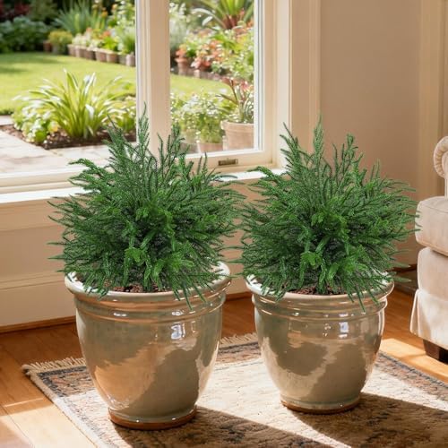 bdor 24" artificial norfolk pine topiary bush with, package contents
