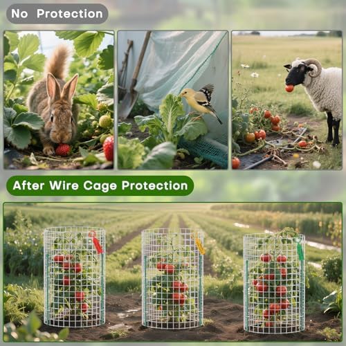 10 set plant protectors from animals, galvanized plant, side view