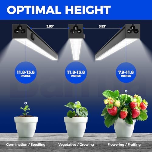 barrina t5 grow lights, 5000k full spectrum daylight showing dimensions