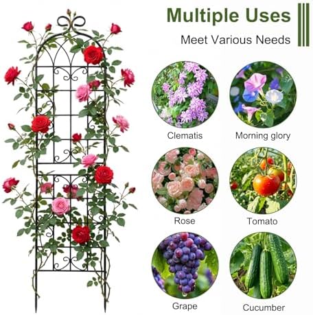 2.2m（86.7" h x 19.7" w） black iron garden showing dimensions