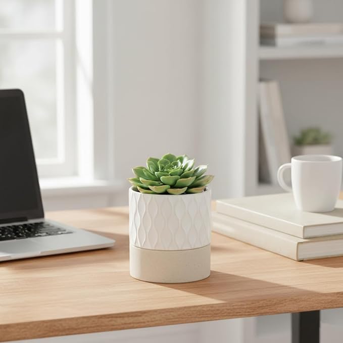 Nihow Self Watering Plant Pot: 4.5 Inch Ceramic Planter with Drainage Hole & Water Storage Plus for Indoor & Outdoor Plants - Cylinder Flower Pot for Herbs/Violets - Cream White & Brown Net